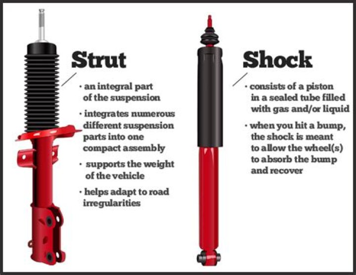 What is the difference between a strut and a shock?