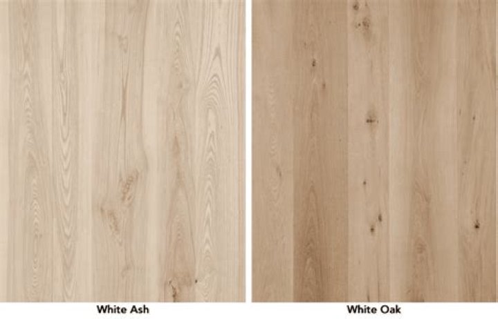 What is the difference between oak and ash?
