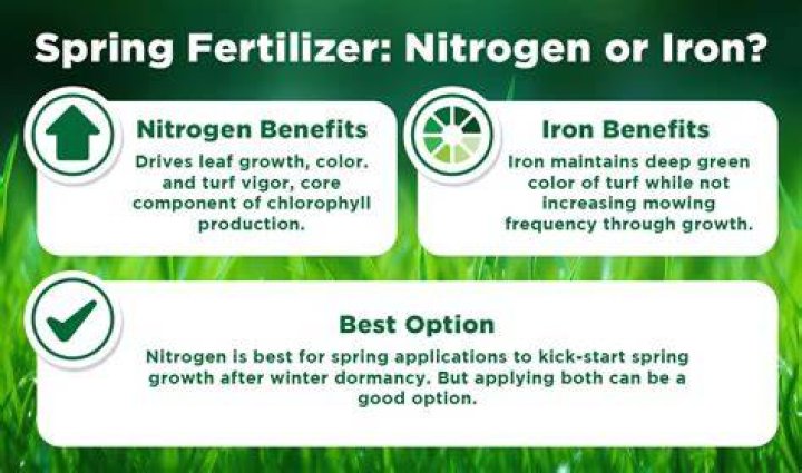 What makes grass green iron or nitrogen?